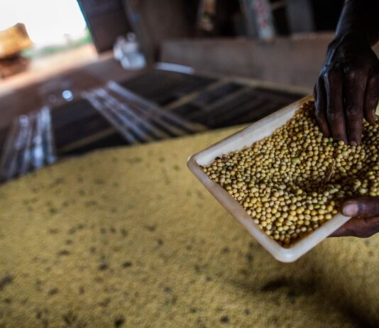 Saldo da balança comercial entre Goiás e China é de US$ 827 milhões, neste 1º trimestre