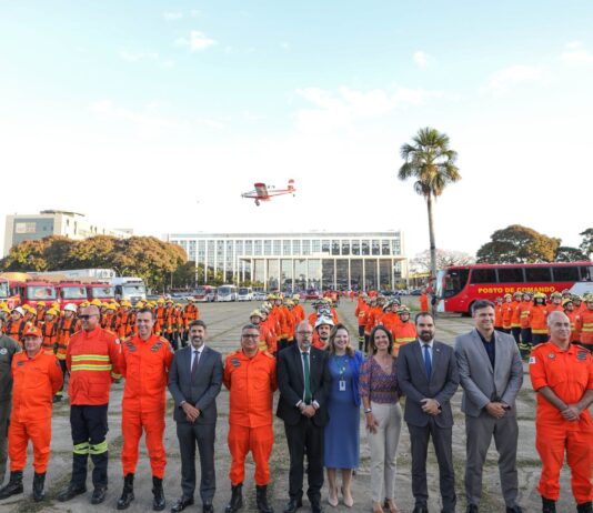 Operação Verde Vivo intensifica prevenção e combate aos incêndios florestais