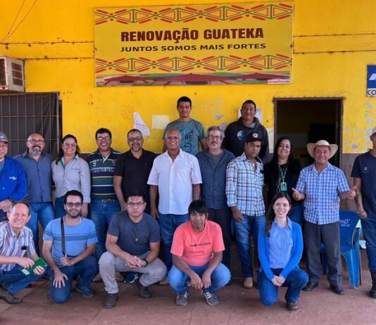 Sisteminha Comunidade começa a ser implantado em escala nacional