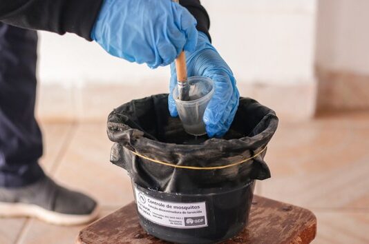 Saiba mais sobre as tecnologias adotadas pelo Ministério da Saúde para o controle da dengue