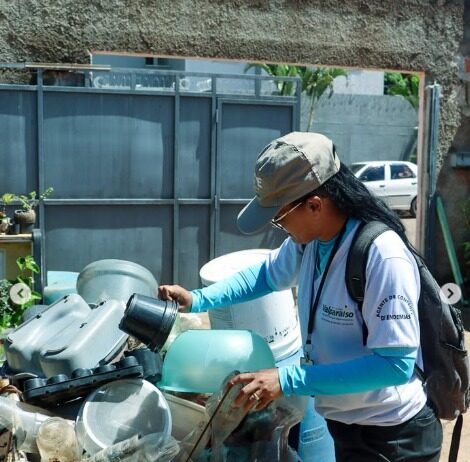 Valparaíso intensifica combate à dengue com armadilhas para monitorar o Aedes aegypti