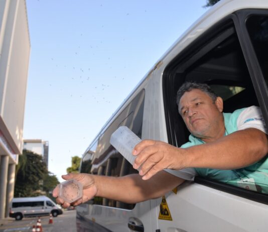 Goiás inicia no Entorno método Wolbachia para frear a dengue, zica e chikungunya