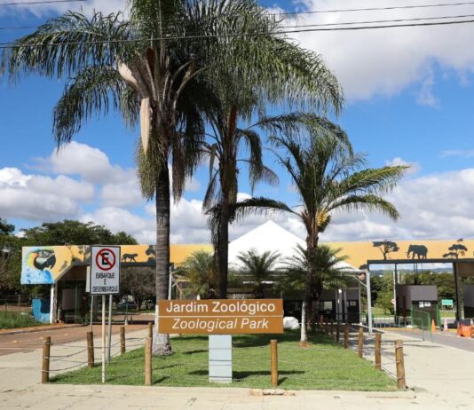Zoológico de Brasília reabre na segunda-feira após controle de surto de gripe aviária