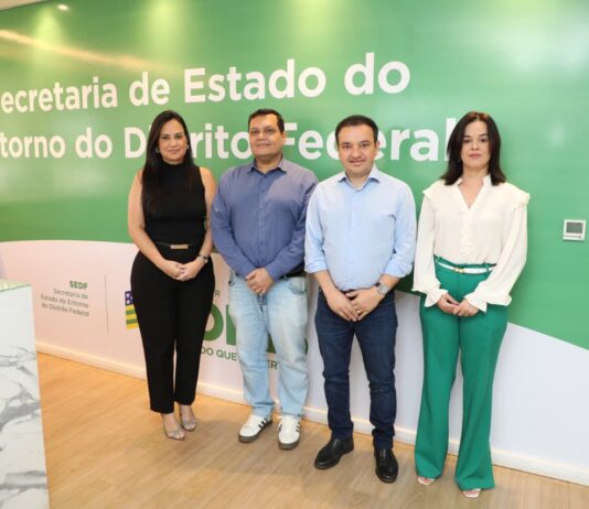 Governo de Goiás prepara municípios para o Plano Goiás Inteligente