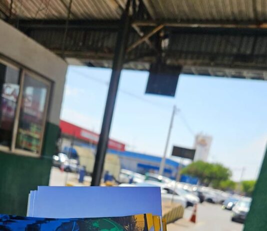 Sabores, artesanato e cultura em Festival imperdível no coração de Brasília