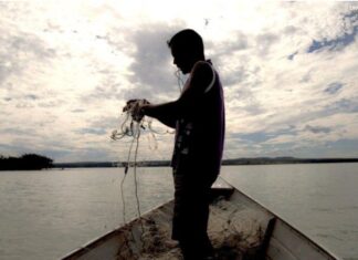Ministério suspende 35 mil licenças de pescadores profissionais por fraude