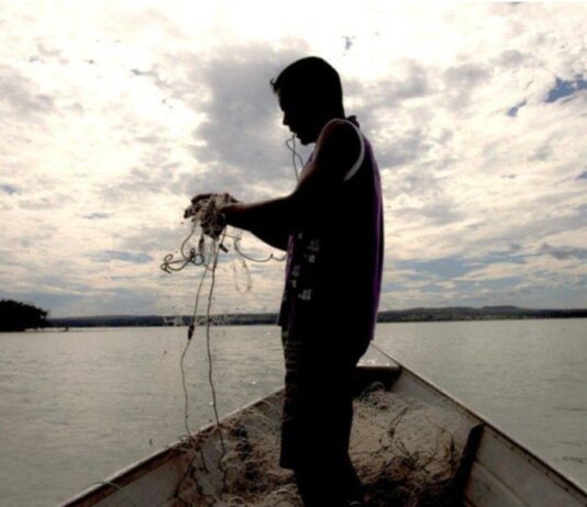 Ministério suspende 35 mil licenças de pescadores profissionais por fraude