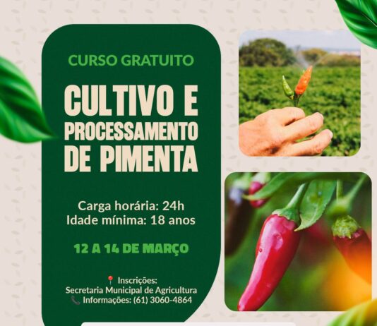 Prefeitura de Novo Gama impulsiona produção de pimenta com curso gratuito e inovador