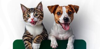 Campanha de vacinação antirrábica mobiliza donos de pets em 11 de julho no Novo Gama
