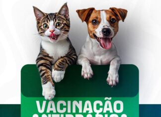 Campanha de vacinação antirrábica mobiliza donos de pets em 11 de julho no Novo Gama
