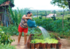 Programa de Aquisição de Alimentos completa 23 anos garantindo segurança alimentar e renda