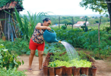 Programa de Aquisição de Alimentos completa 23 anos garantindo segurança alimentar e renda