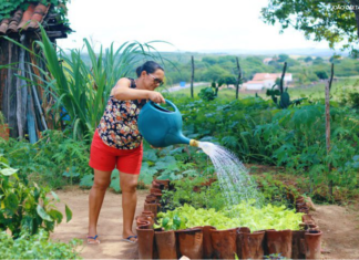 Programa de Aquisição de Alimentos completa 23 anos garantindo segurança alimentar e renda