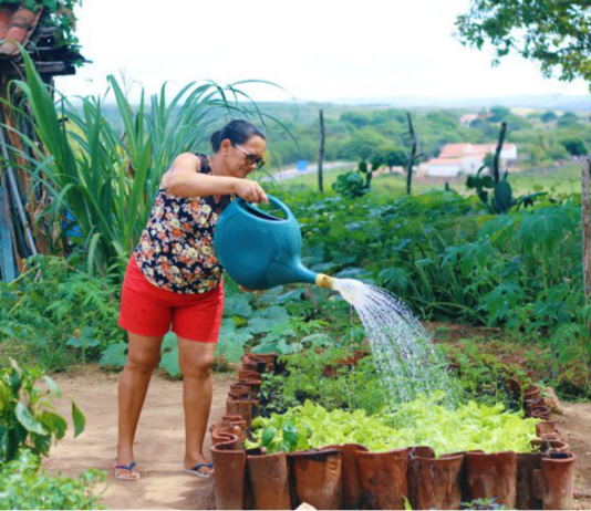 Programa de Aquisição de Alimentos completa 23 anos garantindo segurança alimentar e renda