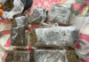 Polícia Federal combate tráfico transnacional de drogas