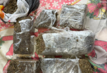 Polícia Federal combate tráfico transnacional de drogas