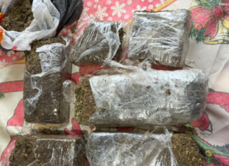 Polícia Federal combate tráfico transnacional de drogas