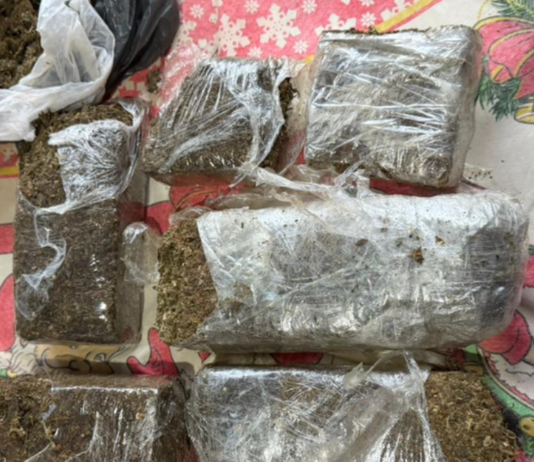 Polícia Federal combate tráfico transnacional de drogas