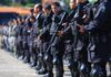Goiás registra queda consistente em crimes contra patrimônio e instituições