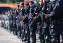 Goiás registra queda consistente em crimes contra patrimônio e instituições