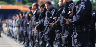 Goiás registra queda consistente em crimes contra patrimônio e instituições
