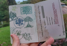 Passaporte do Jardim Botânico do Rio convida visitantes a uma nova jornada