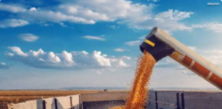 Valor Bruto da Produção Agropecuária é estimado em R$ 1,4 trilhão em junho