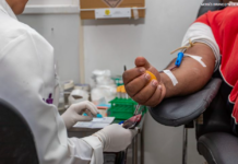 Saúde atualiza procedimentos hemoterápicos e Anvisa orienta período de transição