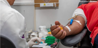 Saúde atualiza procedimentos hemoterápicos e Anvisa orienta período de transição