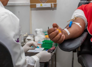 Saúde atualiza procedimentos hemoterápicos e Anvisa orienta período de transição