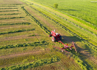 Medida Provisória institui medidas de apoio a produtores rurais afetados por eventos climáticos