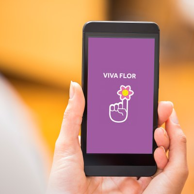 Tecnologia e acolhimento em favor da vida: como o Programa Viva Flor fortalece a proteção a mulheres no Distrito Federal