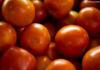 Preço do tomate negociado nas principais Ceasas brasileiras tem queda média de 15,85%