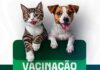 Novo Gama realiza campanha gratuita de vacinação antirrábica neste sábado (08)
