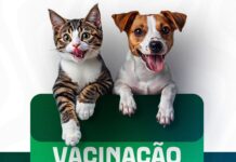 Novo Gama realiza campanha gratuita de vacinação antirrábica neste sábado (08)