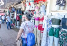 Comércio goiano fatura R$ 295,3 bilhões em 2024 e lidera emprego no Centro-Oeste