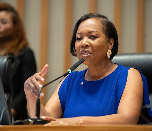 Deputada Delegada Dra. Jane destinou emendas para reformas escolares e infraestrutura urbana no DF