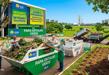 Sustentabilidade Urbana: Distrito Federal Oferece Descarte Gratuito de Podas e Galhadas nos Papa-Entulhos