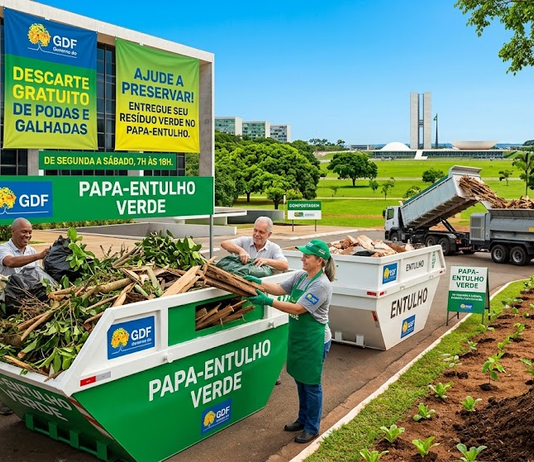 Sustentabilidade urbana: Distrito Federal oferece descarte gratuito de podas e galhadas nos papa-entulhos