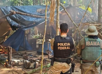 PF e Ibama combatem garimpo ilegal em terra indígena