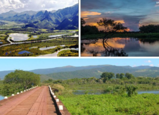Turismo no Pantanal combina natureza, cultura e experiências no Mato Grosso e no Mato Grosso do Sul