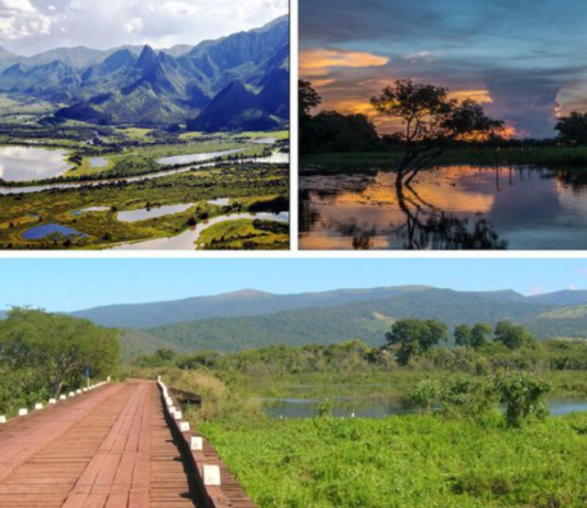 Turismo no Pantanal combina natureza, cultura e experiências no Mato Grosso e no Mato Grosso do Sul
