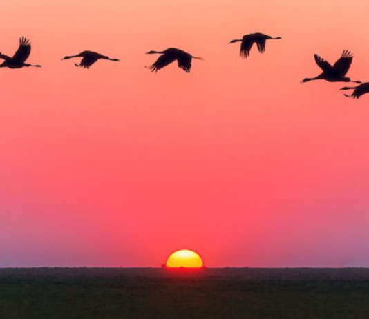 Aberto edital para fortalecer o turismo de experiência no Brasil