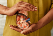 Cuidados com os rins: como identificar sinais de alerta e prevenir complicações renais