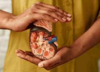 Cuidados com os rins: como identificar sinais de alerta e prevenir complicações renais