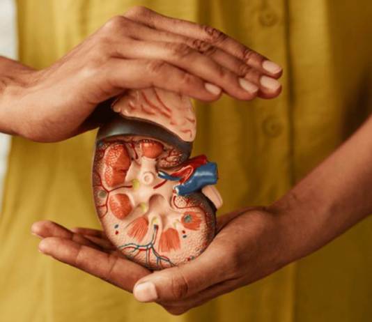 Cuidados com os rins: como identificar sinais de alerta e prevenir complicações renais