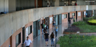 Selo reconhece instituições de educação que têm ações de prevenção contra a violência de gênero