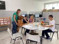 IBGE aponta salto na acessibilidade das escolas públicas de Goiás, que lidera presença de profissionais de apoio