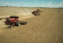 Goiás consolida força exportadora e registra superávit recorde de US$ 6,2 bilhões até setembro