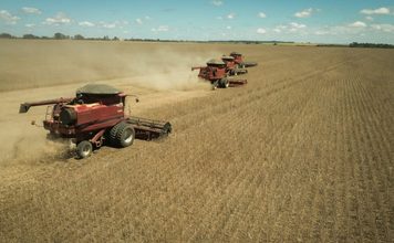 Goiás consolida força exportadora e registra superávit recorde de US$ 6,2 bilhões até setembro